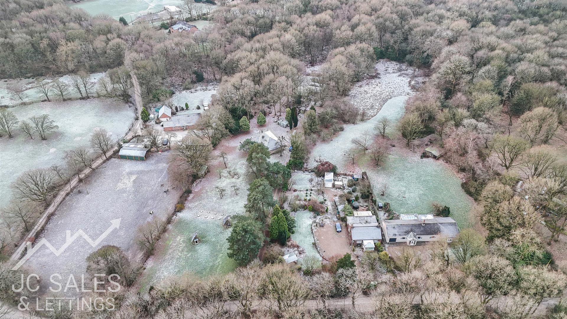 Sutton Spring Wood, Calow